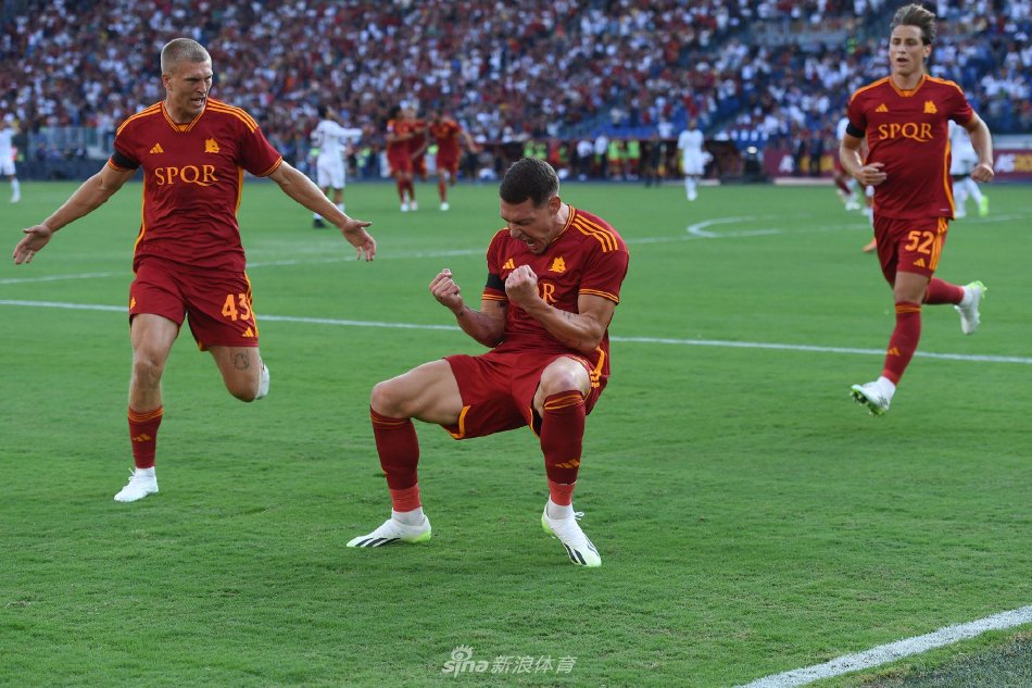 入了某种固 入了某种固