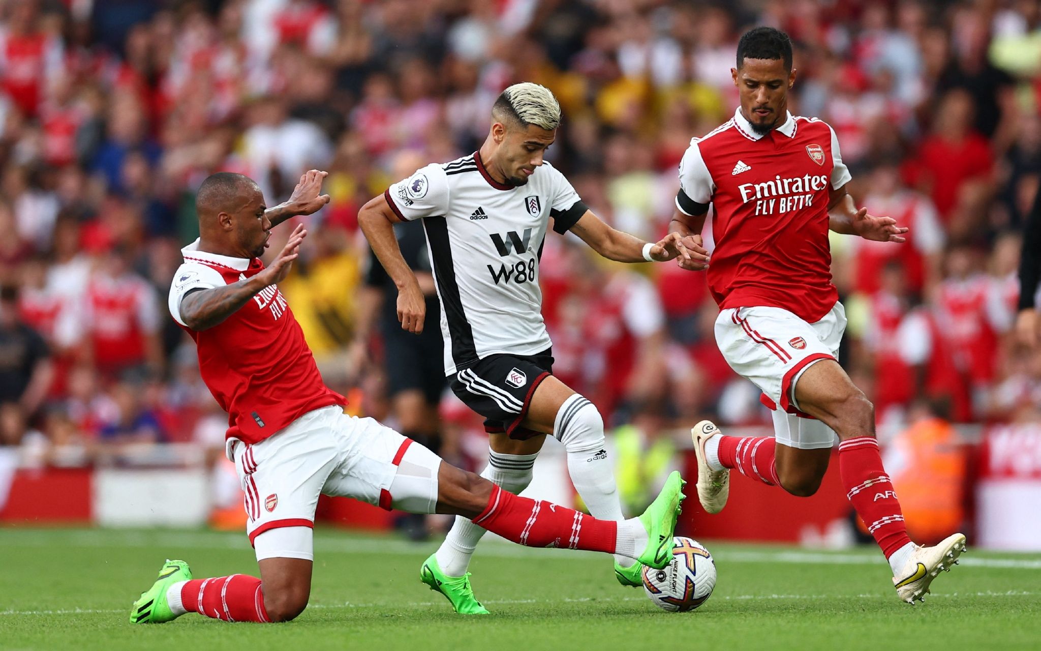 这场激动人 这场激动人